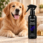 Perfume Blueberry Peluche 200 ml com pet em ambiente premium