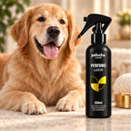Perfume Luxor Peluche 200 ml com pet em ambiente premium